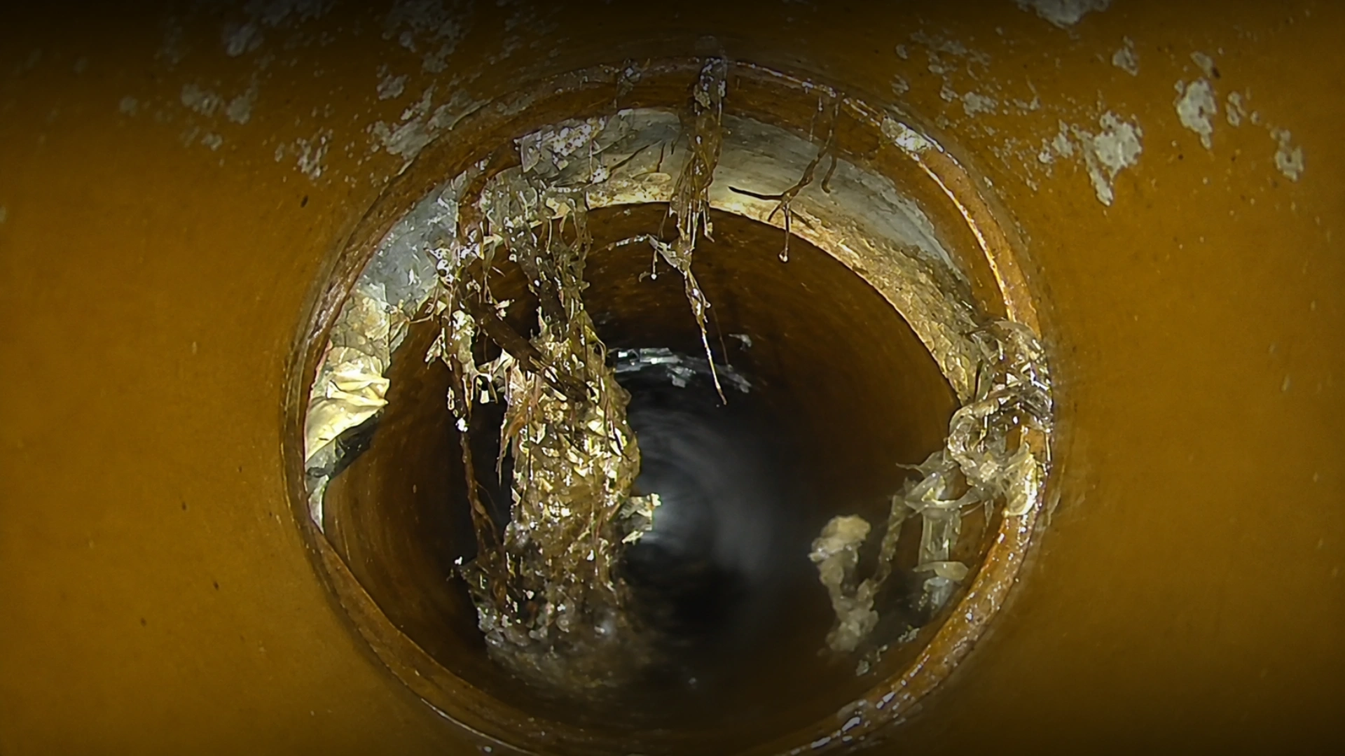 CCTV Drain Inspections Whangarei