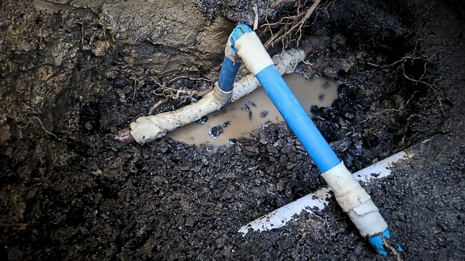 Water Leak Repairs Whangarei